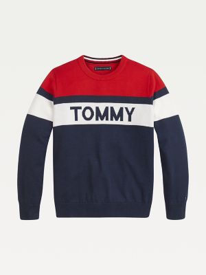 tommy hilfiger boys jumper