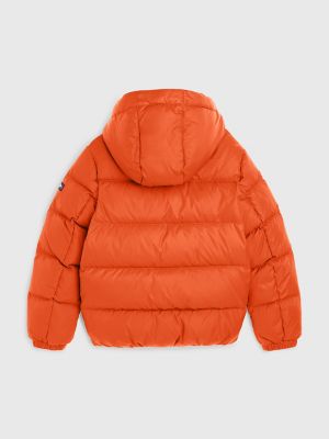 Tommy hilfiger little boys 2024 david hooded puffer jacket