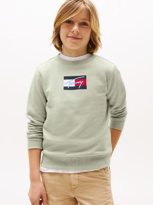 Kids' Script Flag Logo Sweatshirt, Misty Sage