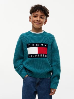 Kids' Flag Logo Sweater, Platinum Teal