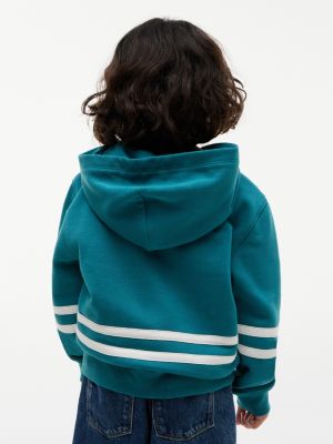 Детские худи Tommy Hilfiger Kids' Tommy Crest Logo — фото 4