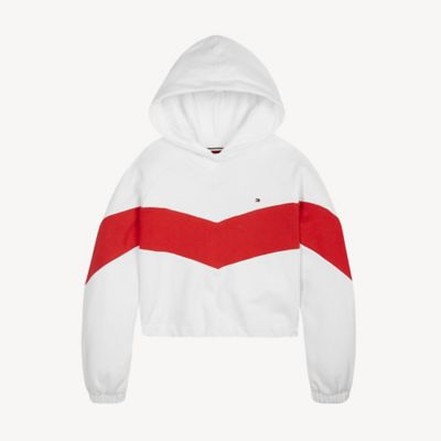 tommy hilfiger sport hoodie