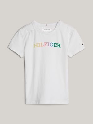 Tommy hilfiger multicolor t hot sale shirt