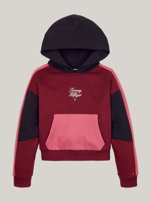 Kids Colorblock Logo Hoodie Tommy Hilfiger
