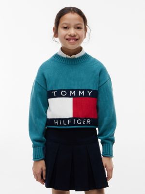 Kids' Flag Logo Sweater, Platinum Teal