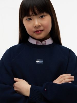 Детские худи Tommy Hilfiger Kids' Tonal Flag Raglan Sweatshirt — фото 3