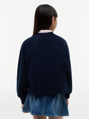 Детские худи Tommy Hilfiger Kids' Tonal Flag Raglan Sweatshirt — фото 4