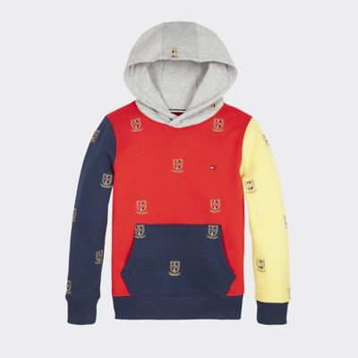 tommy jeans colorblock hoodie