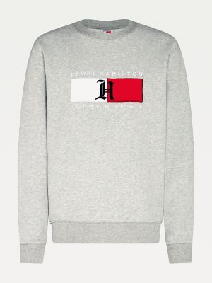 logo sweatshirt tommy hilfiger