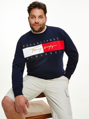tommy hilfiger big and tall sale