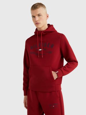 Hilfiger best sale flag hoodie