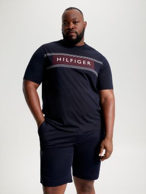 Big and Tall Slim Fit Hilfiger Stripe T-Shirt, Navy