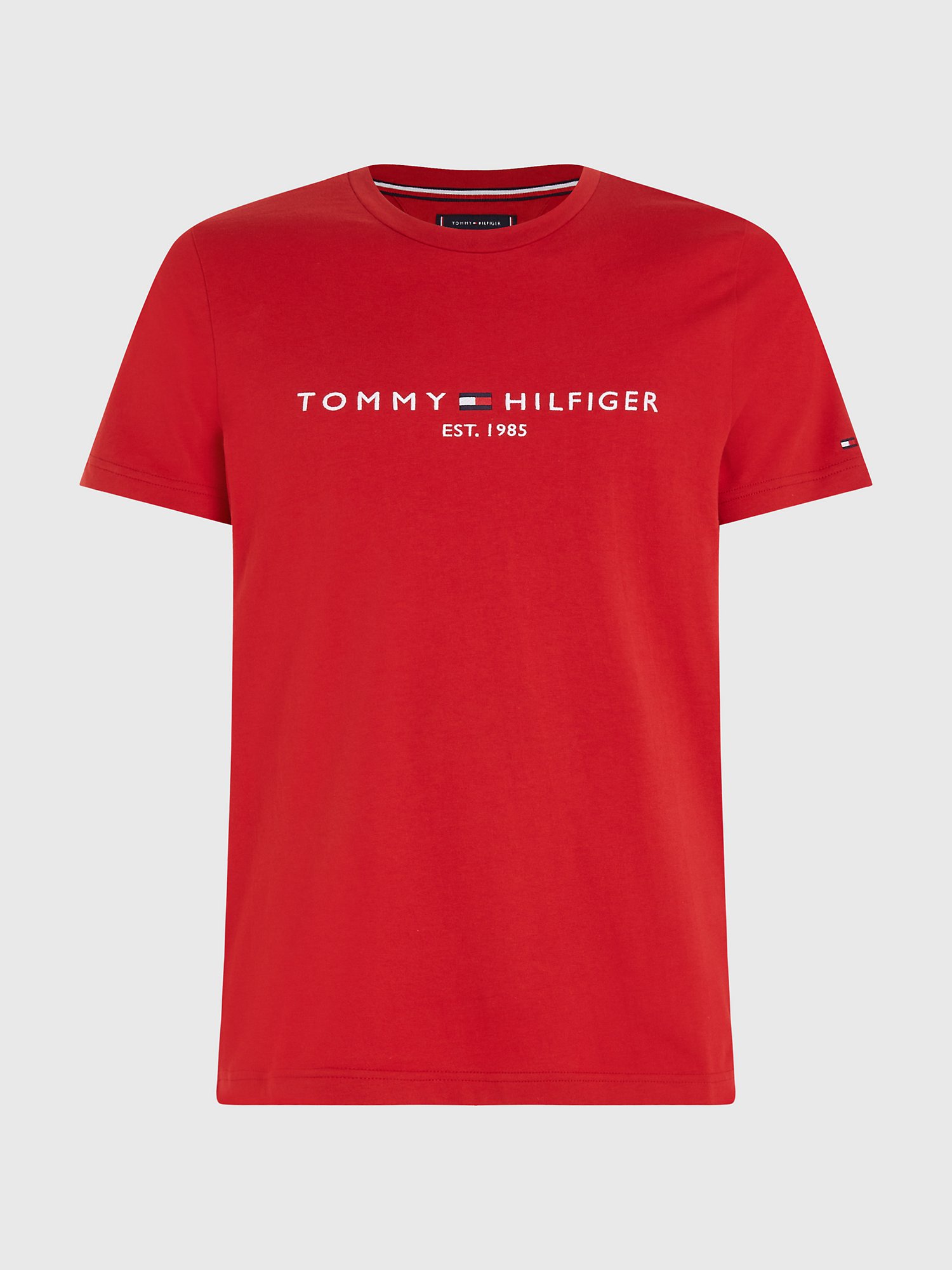 Big and Hilfiger Logo T-Shirt | Tommy