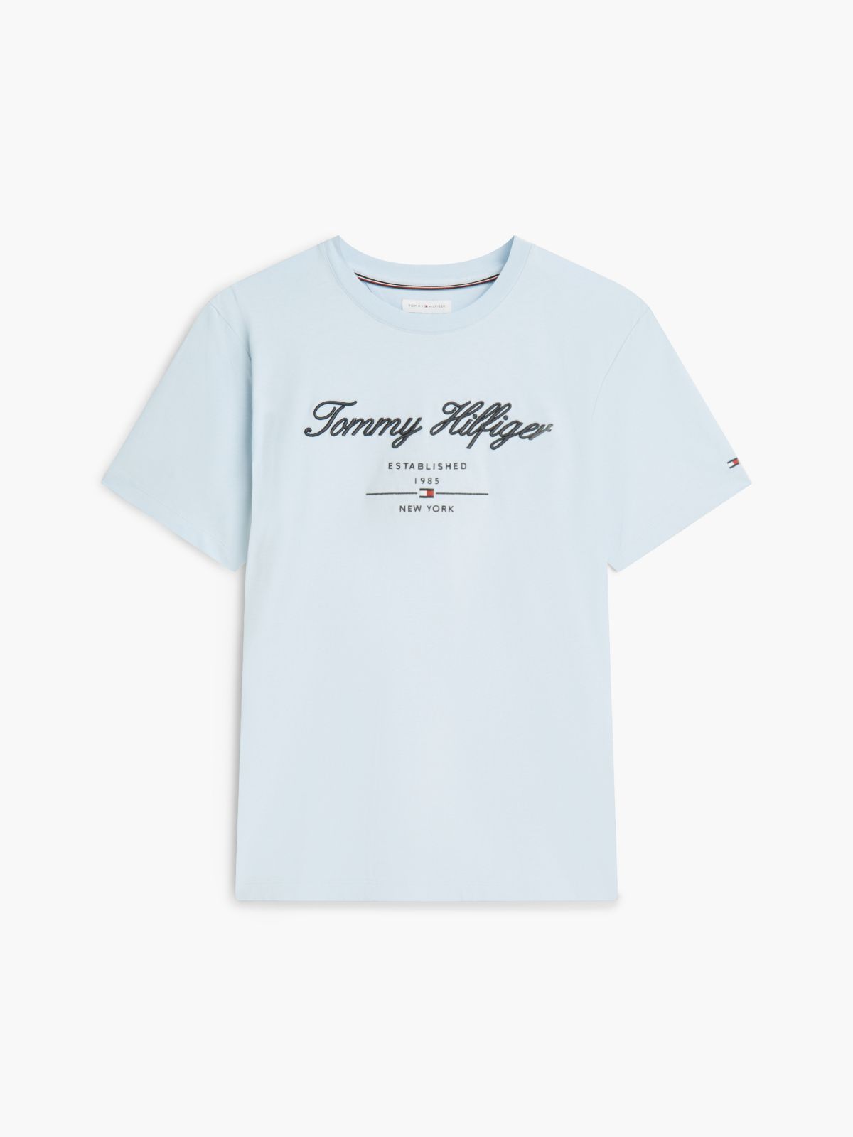 Embroidered Script Logo T-Shirt — Breezy Blue