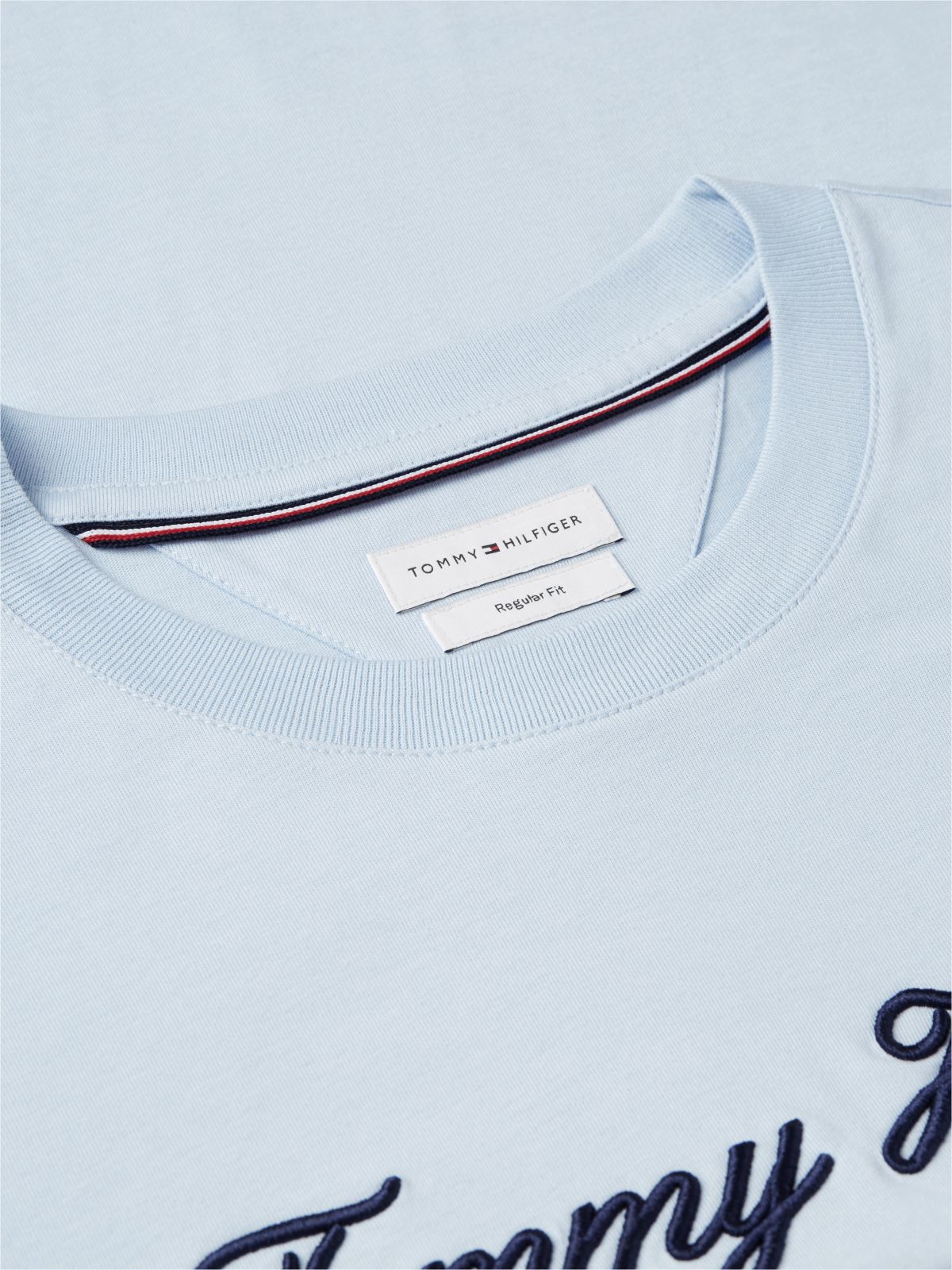 Embroidered Script Logo T-Shirt — Breezy Blue