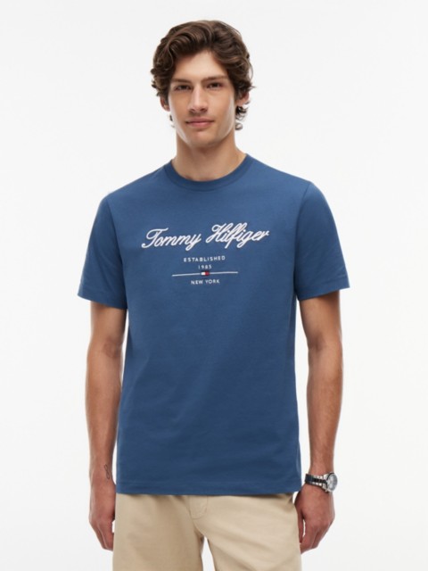 Мужские футболки Tommy Hilfiger Embroidered Script Logo T-Shirt