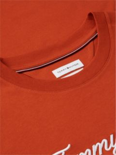 Embroidered Script Logo T-Shirt — Rusty Ochre 6