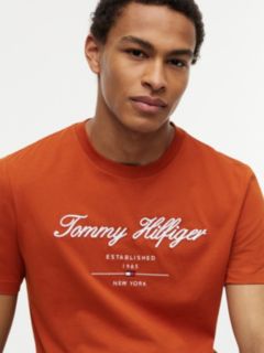 Embroidered Script Logo T-Shirt — Rusty Ochre 3