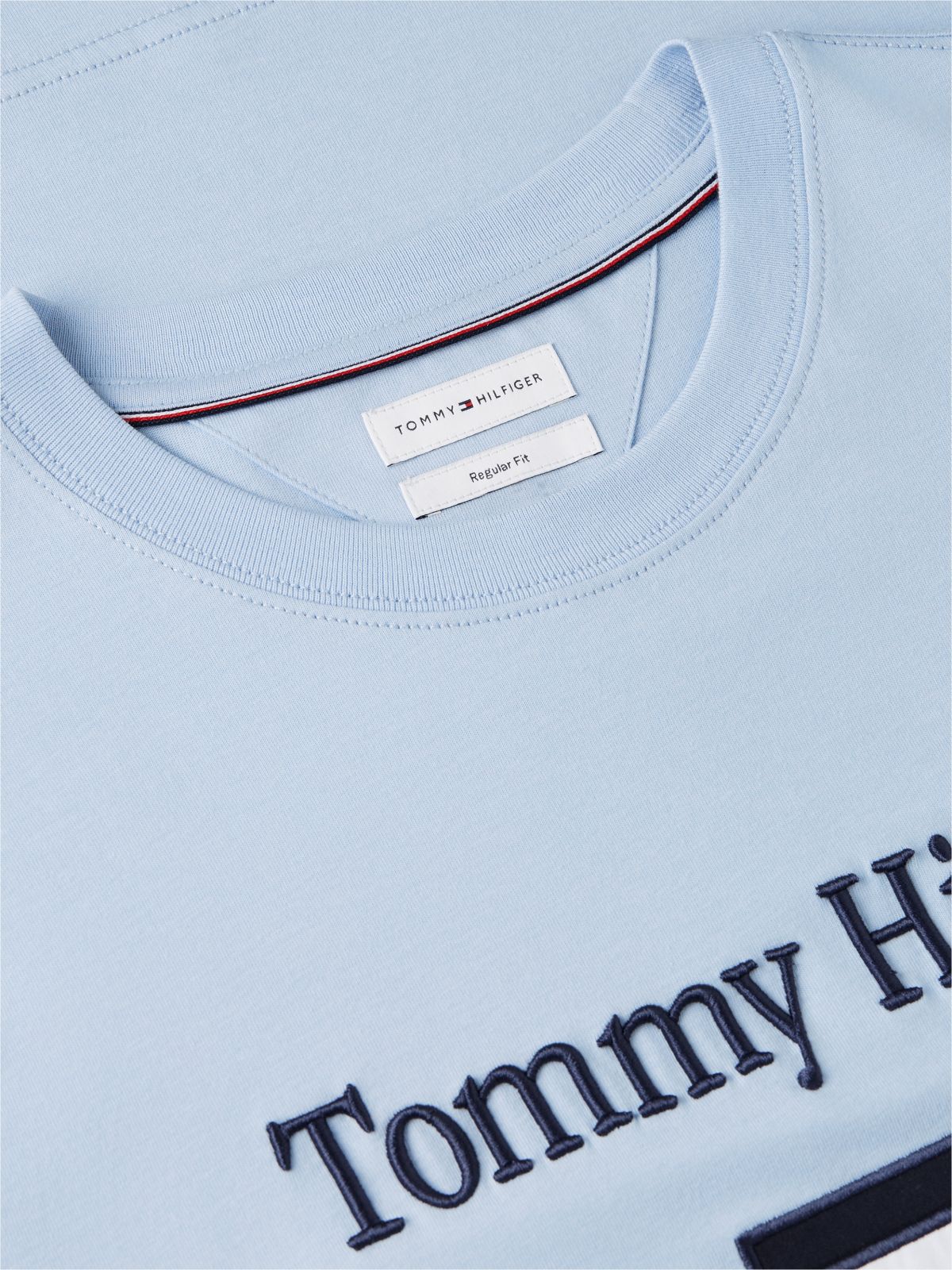 Embroidered Flag Logo T-Shirt — Sky Blue