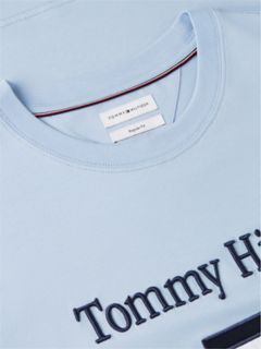 Embroidered Flag Logo T-Shirt — Sky Blue 6