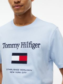 Embroidered Flag Logo T-Shirt — Sky Blue 3