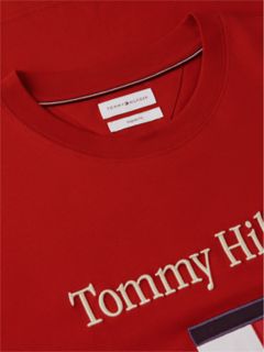 Embroidered Flag Logo T-Shirt — Medium Red 7