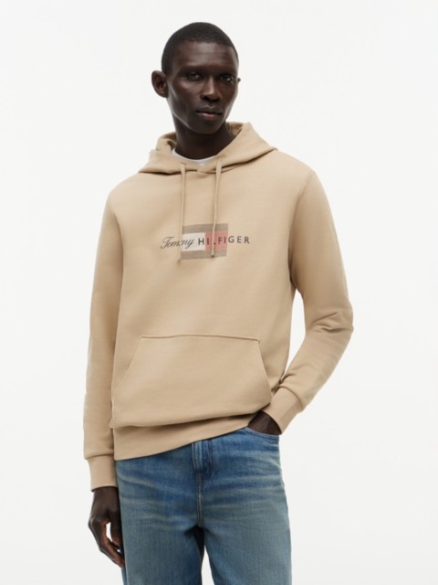 Мужские худи Tommy Hilfiger Script Flag Logo