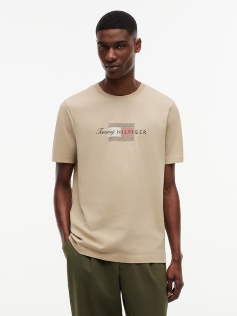 Мужские футболки Tommy Hilfiger Tommy Script Flag Logo T-Shirt