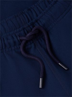 Мужские брюки Tommy Hilfiger Regular Fit Wavy Flag Logo Sweatshort — фото 6