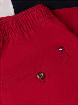 Мужские брюки Tommy Hilfiger Regular Fit 8" Flag Colorblock Short — фото 6
