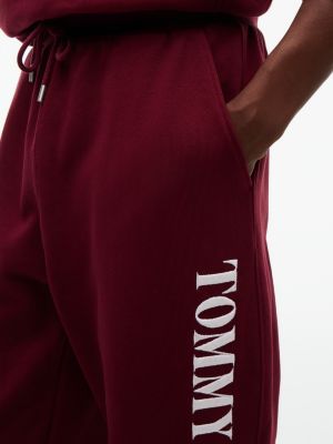 Мужские брюки Tommy Hilfiger Relaxed Heavyweight Terry Sweatpant, цвет: Бордовый — фото 3