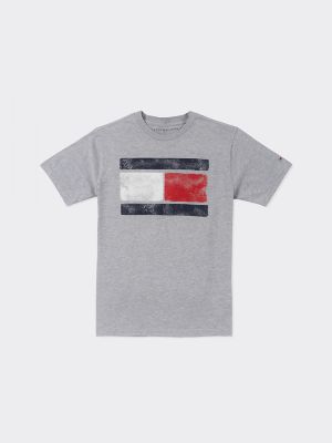 tommy hilfiger retro flag