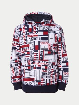 boys tommy hilfiger hoodies