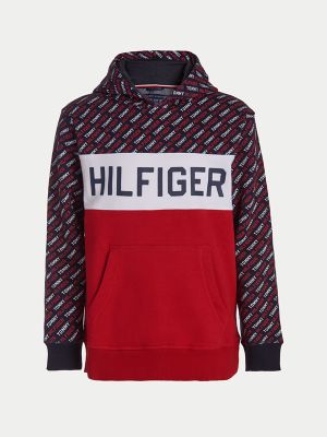 boys hilfiger hoodie