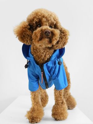 Tommy hilfiger outlet dog blanket