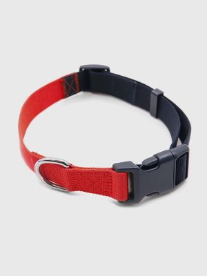 Logo Dog Collar Tommy Hilfiger USA