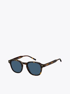 Modern Prep Oval Sunglasses, Havana