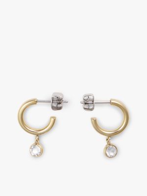 Crystal Accent Hoop & Stud Earring Set, Gold