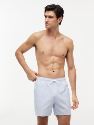 Script Monogram Striped 5" Swim Trunk, Sweet Blue/White Ithaca