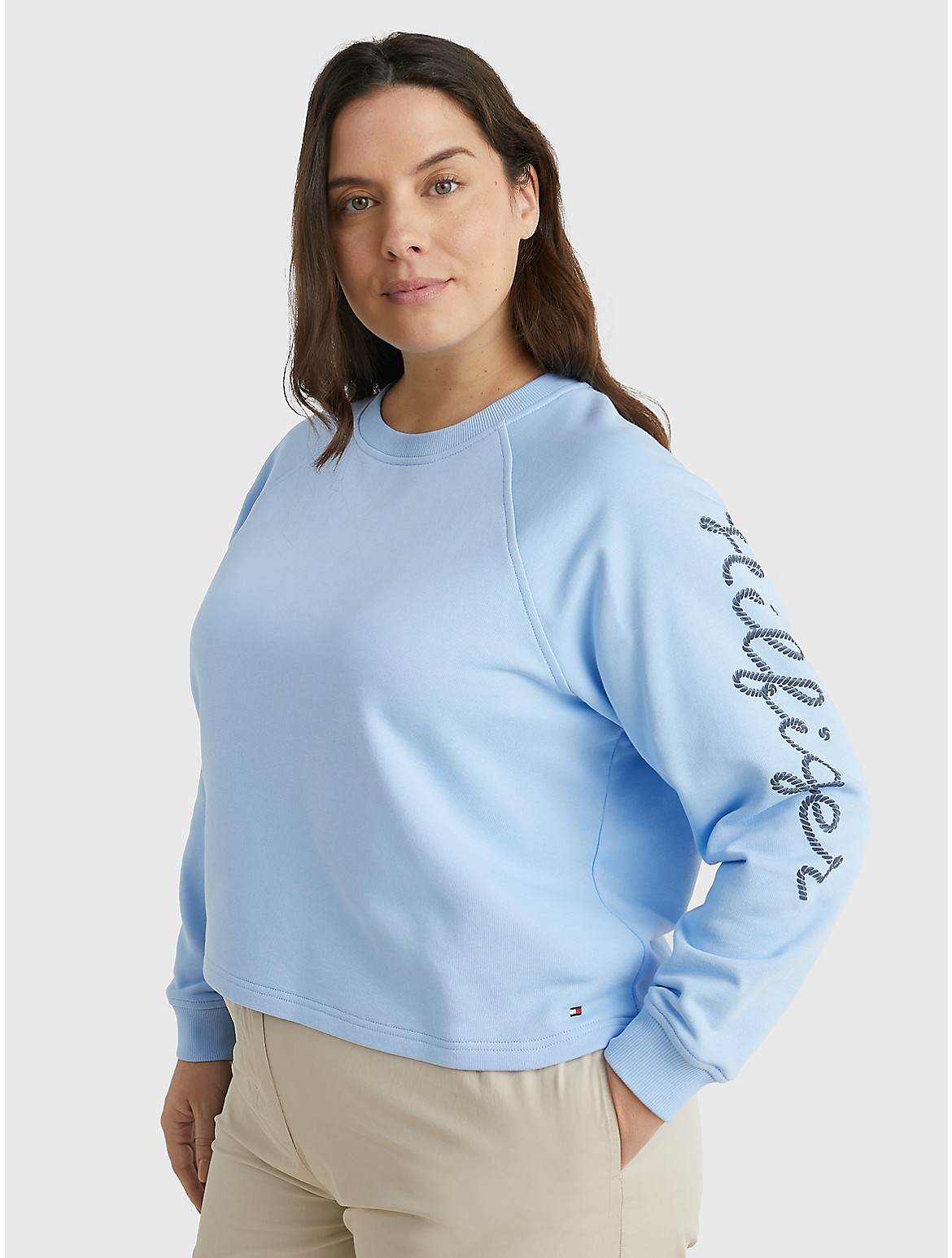 Tommy Hilfiger Curve Rope Logo Sweatshirt In Vessel Blue