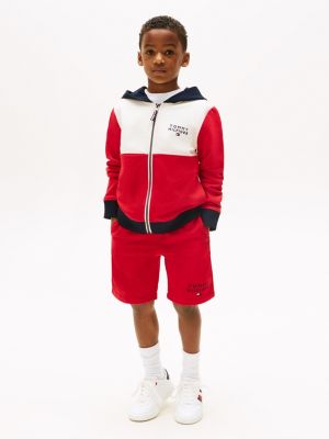 Kids' Hilfiger Logo Colorblock Hoodie | Tommy Hilfiger