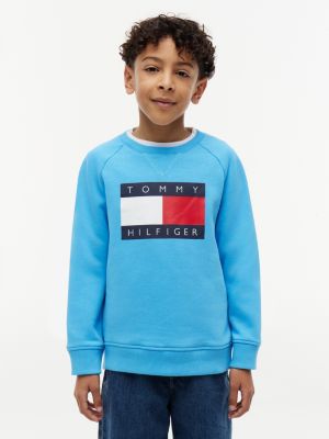 Kids' Tommy Flag Logo Raglan Sweatshirt, Frigid Blue
