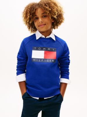 Kids' Flag Logo Raglan Sleeve Sweatshirt, Wedge Blue