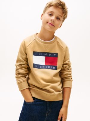 Kids' Flag Logo Raglan Sleeve Sweatshirt, Classic Khaki