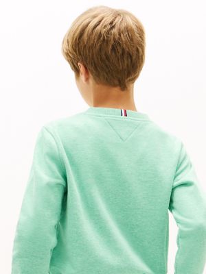 Детские худи Tommy Hilfiger Kids' Hilfiger 85 Logo Sweatshirt — фото 3
