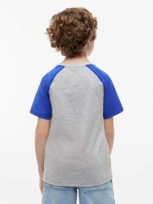 Детские футболки Tommy Hilfiger Kids' Pennant Logo Raglan T-Shirt — фото 4