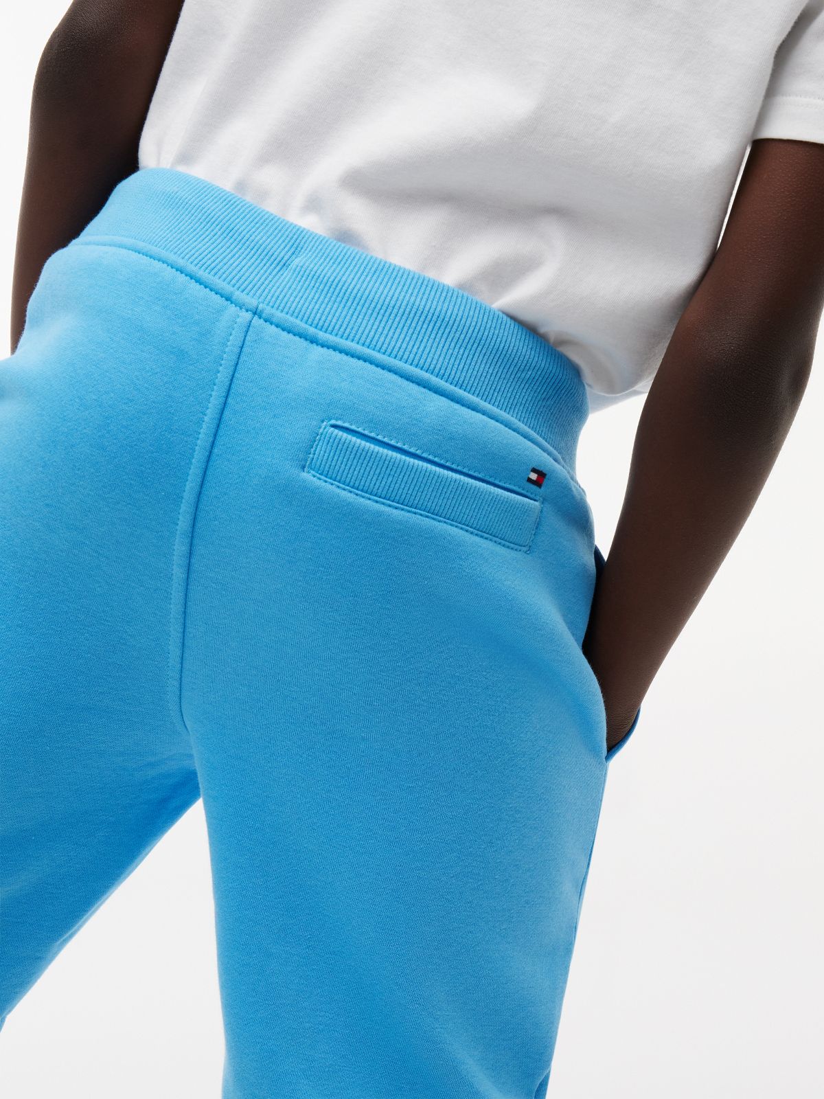 Kids' Flag Logo Sweatshort — Frigid Blue