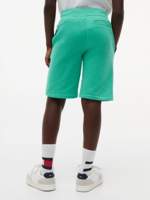 Детские брюки Tommy Hilfiger Kids' Flag Logo Sweatshort — фото 4