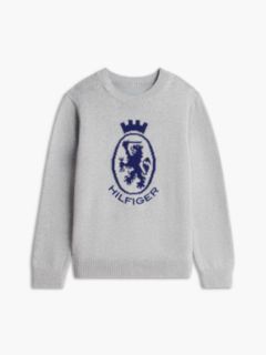 Kids' Crest Logo Sweater — Grey 5