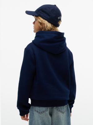 Детские худи Tommy Hilfiger Kids' Paintbrush Flag — фото 4